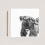 Hand Drawn Pit Bull Cross Dog Greeting Card Illustration, thumbnail 1 of 6