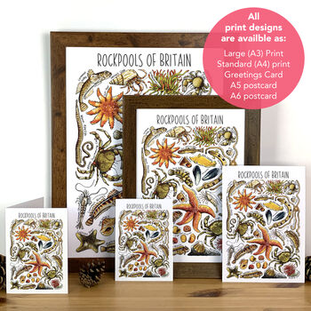 Rockpools Of Britain Blank Greeting Card, 4 of 9