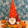 Large Pumpkin Nordic Gnomes Needle Felting Craft Kit, thumbnail 2 of 2