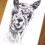 Five Framed Pen And Ink Illustrations Of Farm Animals, thumbnail 7 of 11