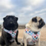 Chunky Check Dog Harness, thumbnail 5 of 12