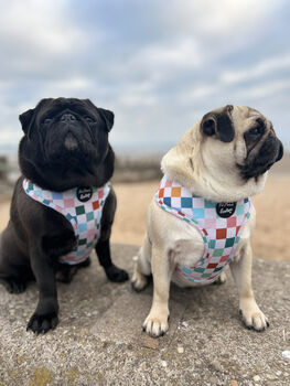 Chunky Check Dog Harness, 5 of 12
