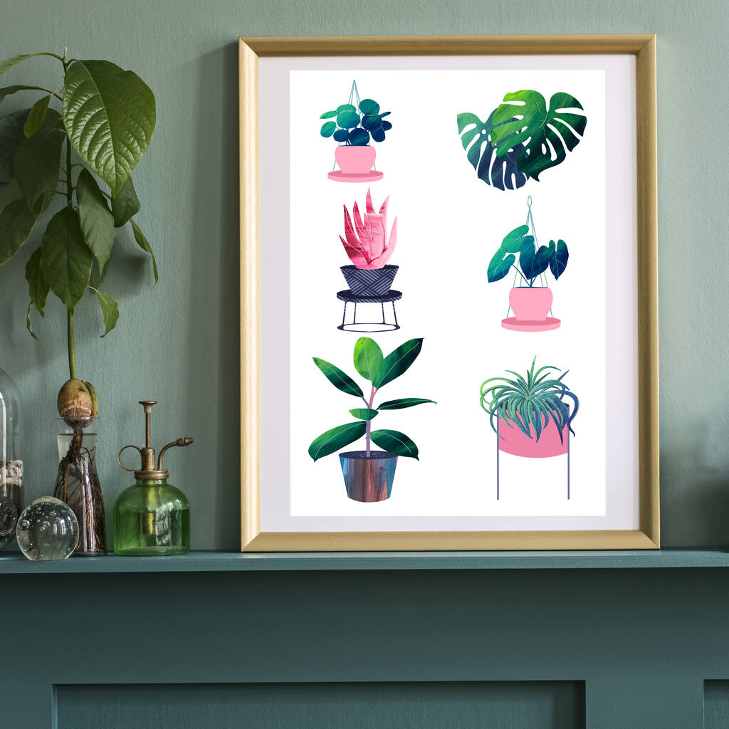 House Plants Art Print, 1 of 3