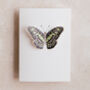 Green Pop Out Butterfly Watercolour Card, thumbnail 2 of 2