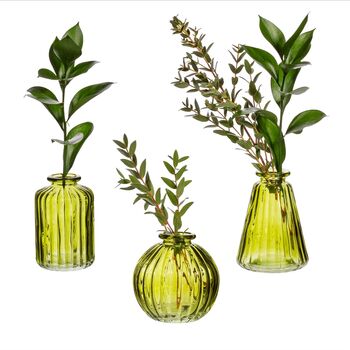 Set Of Three Olive Glass Bud Vases, 3 of 3