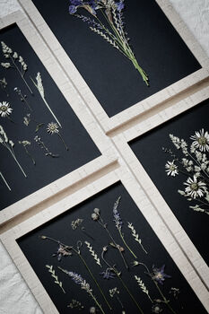 A3 Pressed Flower Art – Twilight Iris Botanical Frame In Sand, 7 of 7