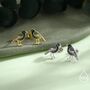 Starling Bird Stud Earrings In Sterling Silver, thumbnail 4 of 12