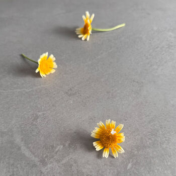 Small Joys Butterfly Earrings – Sterling Silver Gift For Her, 12 of 12