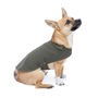 All Weather Dog Coat, With Carry Pouch, thumbnail 10 of 12