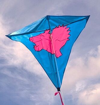 Flying Pig Kite. Handmade Easy Flying Kite, 7 of 8