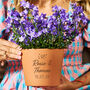 Personalised Couples Gift Terracotta Plant Pot, thumbnail 1 of 3