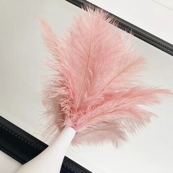 Large 30 To 35cm Imitation Ostrich Feathers, 12 of 12