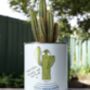 Personalised Percy Pricklebum. Grow Your Own Cacti Kit, thumbnail 1 of 6