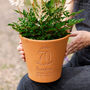 70th Birthday Personalised Plant Pot, thumbnail 1 of 7