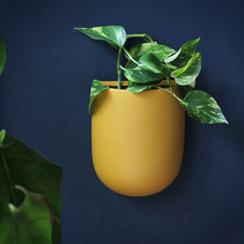 Ceramic Yellow Wall Planter, 4 of 4