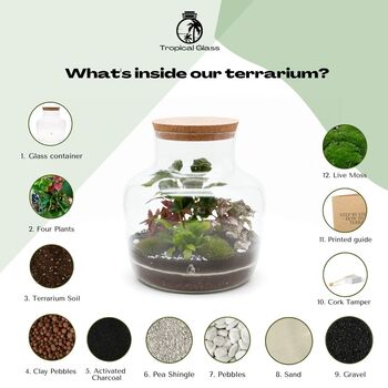 Make Your Own Terrarium Kit H: 30 Cm | 'Luxor', 5 of 10