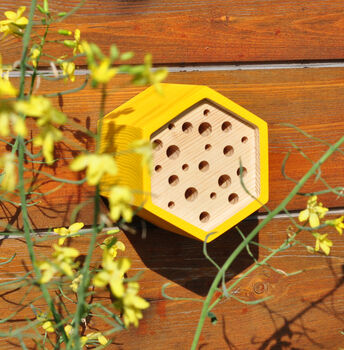 Hexagon Bee House Gift Set, 5 of 6