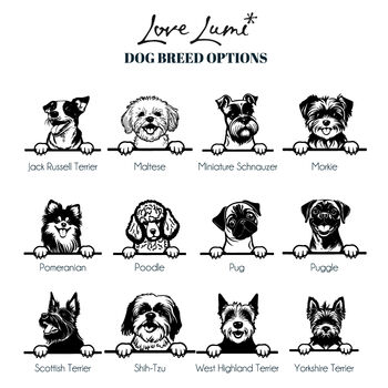 Personalised Dog Breed Licked Clean Food Bowl, 6 of 6