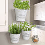 Three Kitchen Herb Garden Planters, thumbnail 1 of 8