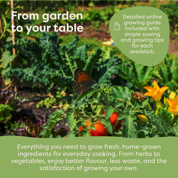 Personalised Kitchen Garden Seeds Starter Kit With 30 Varieties, 5 of 12