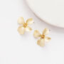 Gold Colour Hand Painted Flower Shaped Stud Earrings, thumbnail 3 of 3