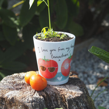 Tomato Plant Pot Anniversary Or Valentine Gift, 3 of 6