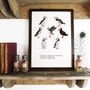 Improbability Of Puffins Art Print, thumbnail 1 of 8