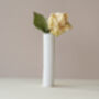 Fine Bone China Vase And Dried Flower Bouquet Gift Set, thumbnail 4 of 4