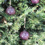 Four Pine Glass Tree Decoration Pink, thumbnail 1 of 2