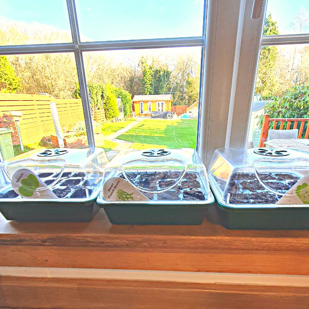 Windowsill Vegetable Growing Kits By Goody Foody Gardens