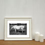 White Horse, Candes Saint Martin Photographic Art Print, thumbnail 2 of 4