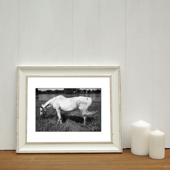 White Horse, Candes Saint Martin Photographic Art Print, 2 of 4
