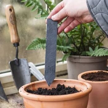 Sunflower Seeds And Slates Gift Set, 3 of 3