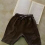 Brown Shorts, thumbnail 1 of 1