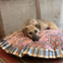 Frilly Dog Bed, thumbnail 4 of 6