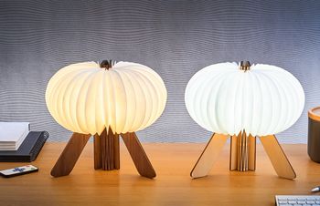 The Walnut R Space Lamp, 6 of 8