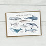Ocean Life Art Card, thumbnail 3 of 3