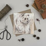 'Furry Friends' Mixed Pack Of Ten Greeting Cards, thumbnail 10 of 10