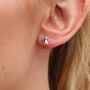 Sterling Silver Mini Animal Stud Earrings, thumbnail 4 of 7
