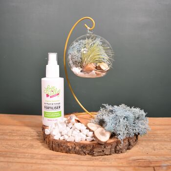 Diy Air Plant Terrarium Kit Hanging Terrarium Gift Light Blue Moss With Optional Gold Stand, 7 of 7