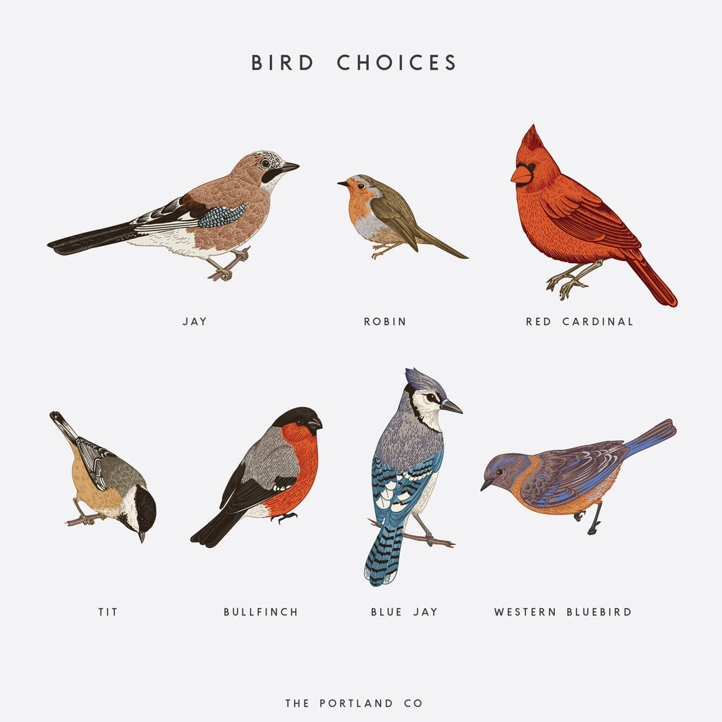 Personalised Family Of Birds Print By The Portland Co