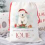Polar Bear Christmas Sack, thumbnail 1 of 2
