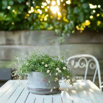 Vintage Style Turquoise Iron Planters, 8 of 8