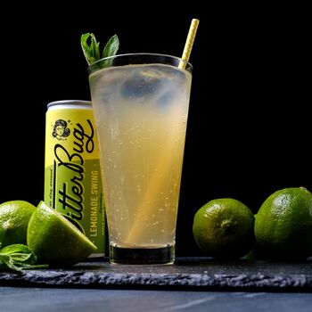 'Lemonade Swing' Healthy Soft Drink Acv Seltzer Pack, 5 of 12
