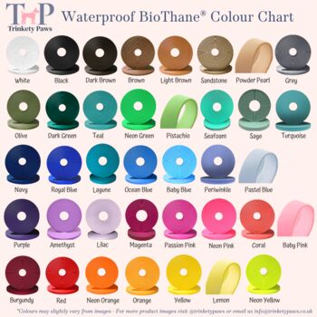 Waterproof Biothane® Two Coloured Dog Collar, 10 of 10