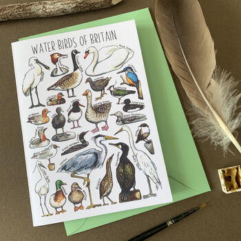 Water Birds Of Britain Greeting Card, 7 of 12