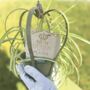 Personalised King Of The Garden Metal Crown, thumbnail 4 of 5