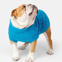 Plain Knitted Turquoise Knitted Dog Jumper, thumbnail 1 of 4