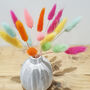 Rainbow Letterbox Dried Bunny Tail Flowers, thumbnail 2 of 2