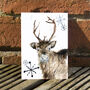 Inky Reindeer Christmas Postcards, thumbnail 4 of 5